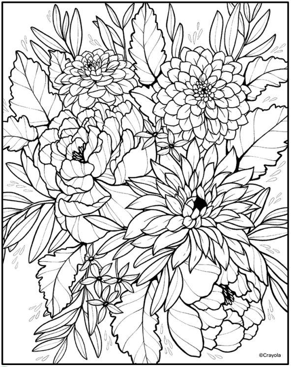 Dahlias and Peonies