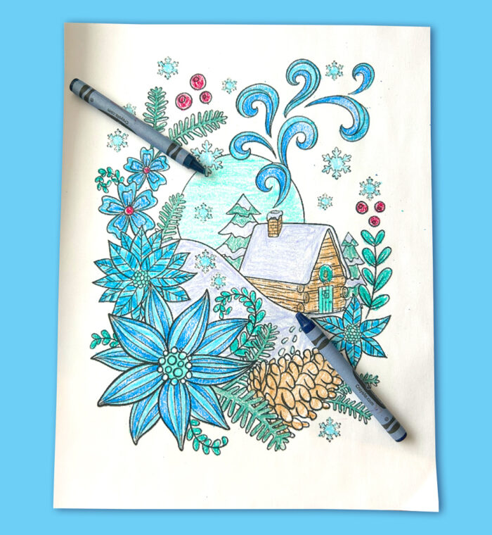 CAN HOMEPAGE MODULE 11 01 2023 Winter Colouring Page