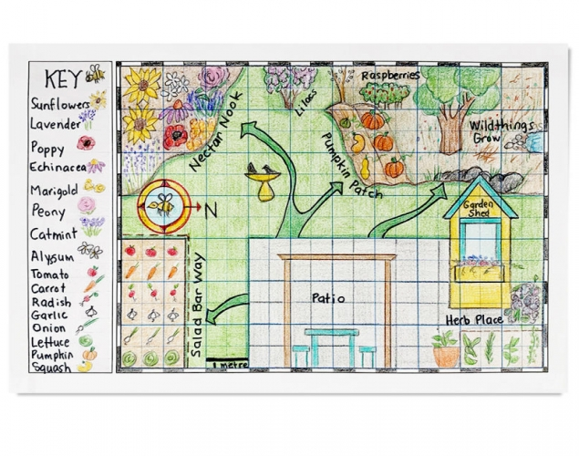 MAKE A BEE FRIENDLY MAP – Space, Colour, Contrast