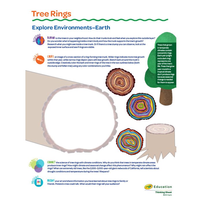 Tree Rings